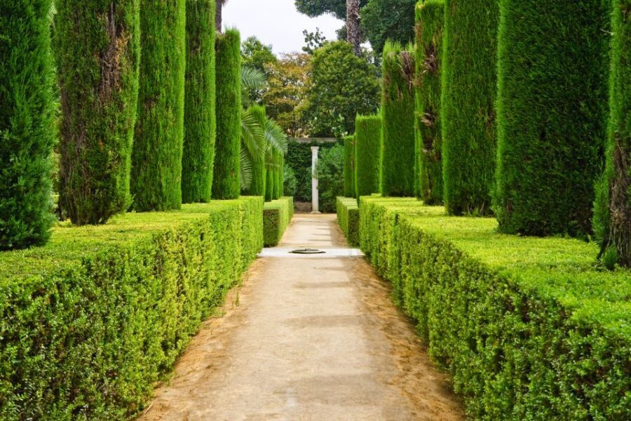 Alcazar of Seville VIP Tour - Key highlights for an Alcázar VIP visit