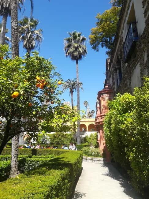Real Alcázar of Seville Skip-the-Line Private Tour - Gothic Palace of the Alcázar: 30 Minutes, Strong Contrasts